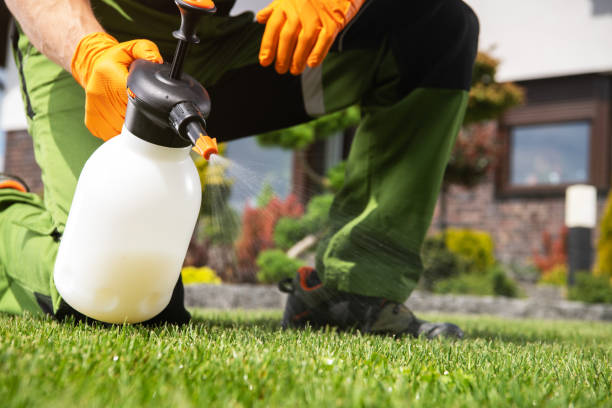 Best Best Pest Control Companies  in Lone Tree, IA