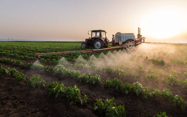 Insect Control in Lone Tree, IA