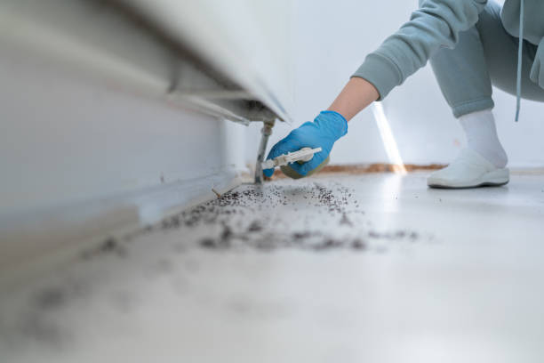Best Exterminator Services  in Lone Tree, IA